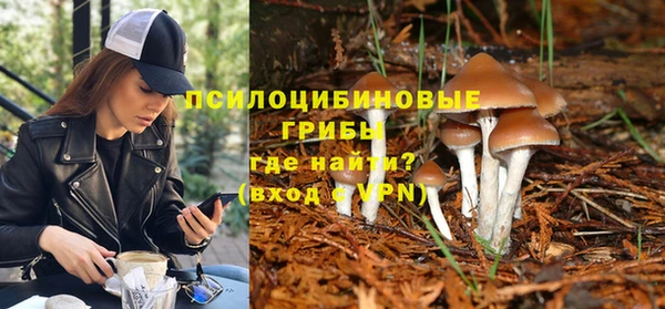круглые Алзамай
