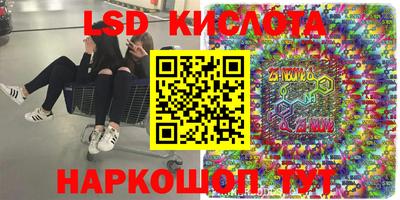 дмт Новодвинск
