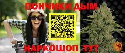 дмт Новодвинск
