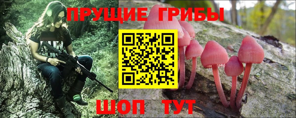 Псилоцибиновые грибы MAGIC MUSHROOMS Черемхово