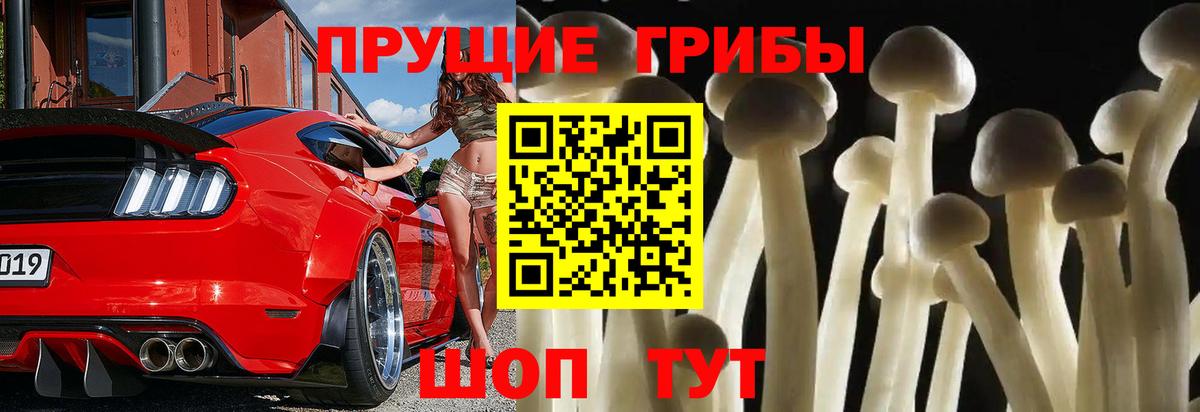 Черемхово  Псилоцибиновые грибы Magic Shrooms  Вход с VPN 